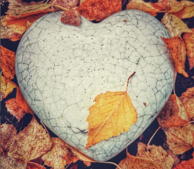 The leaf and the heart